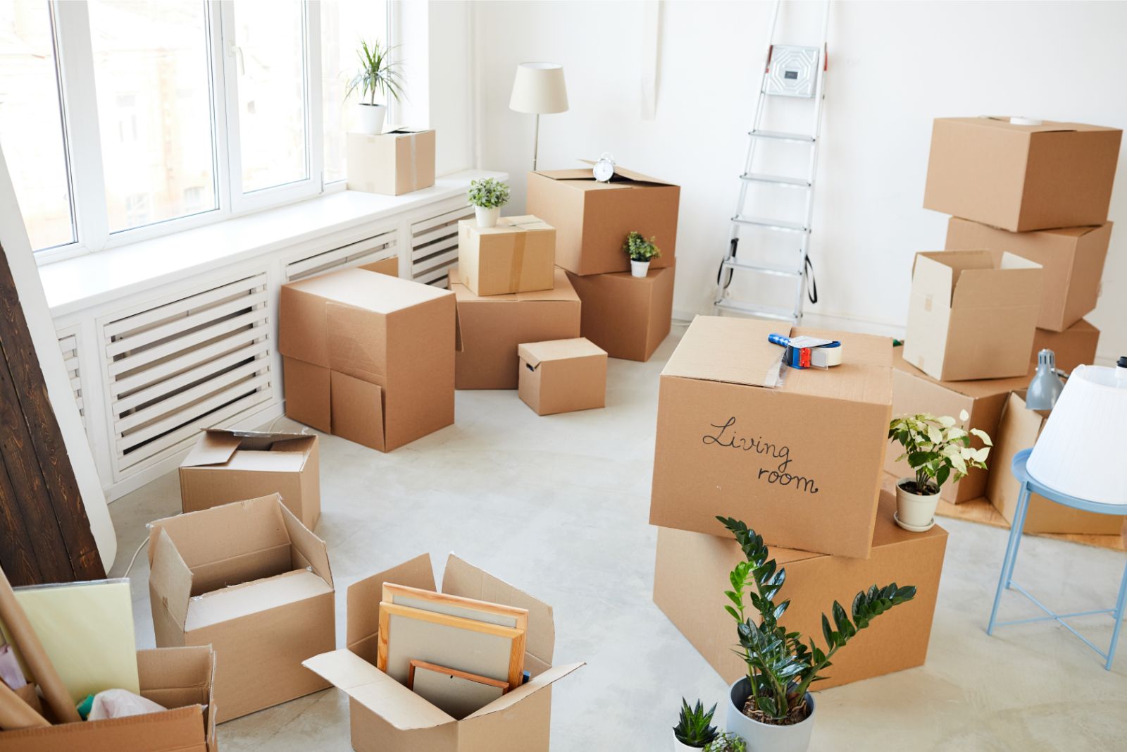 Crew clearing furniture and boxes during a full house cleanout in Palm Beach Gardens